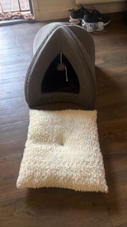Gray kitten bed