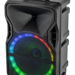 Pulse-12 Speaker