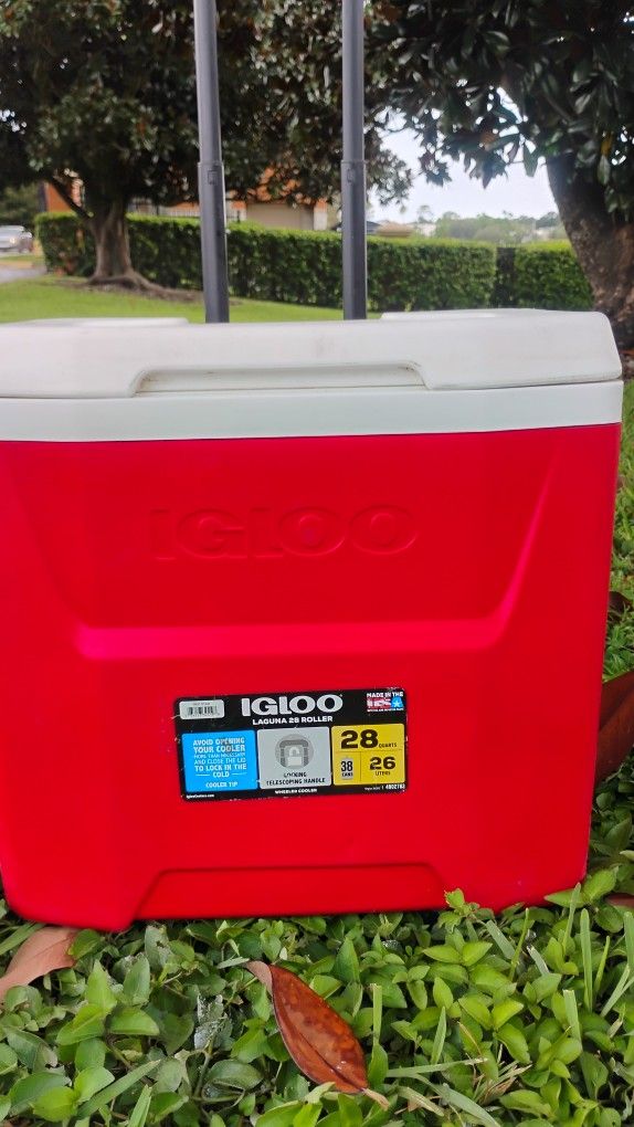 Igloo Cooler Like New 20$