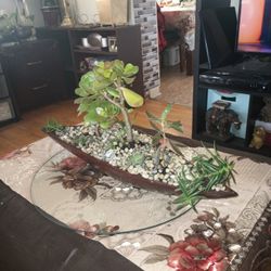 Plantera de Madera Solida Con 8 Suculentas