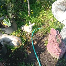 Clean out your flowers beds