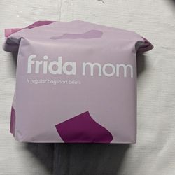 NEW Frida Mom Disposable Postpartum Underwear Boyshort Briefs 4pk-Size Regular