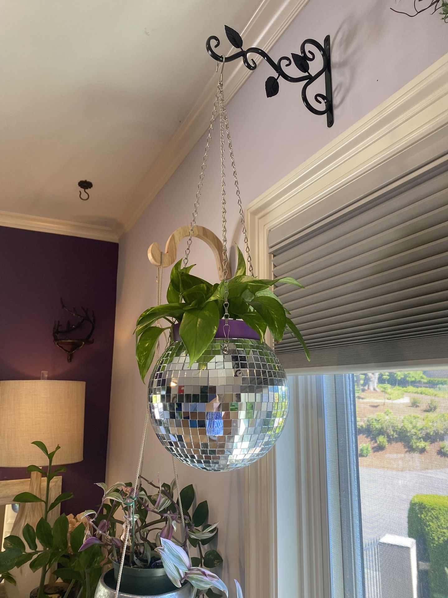 Disco Planter With Plant