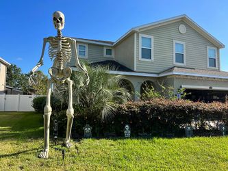 12 ' Skeleton