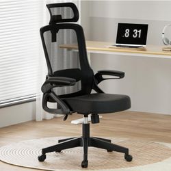 Ergonomic Office Chair