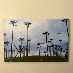 Venice Beach Photography 