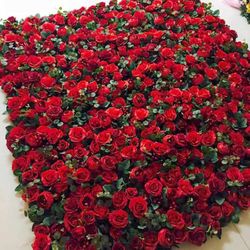 Floral Wall Rental