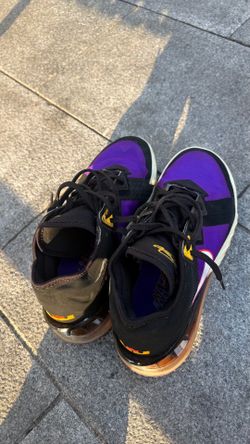 LeBron Nike Basketball shoe