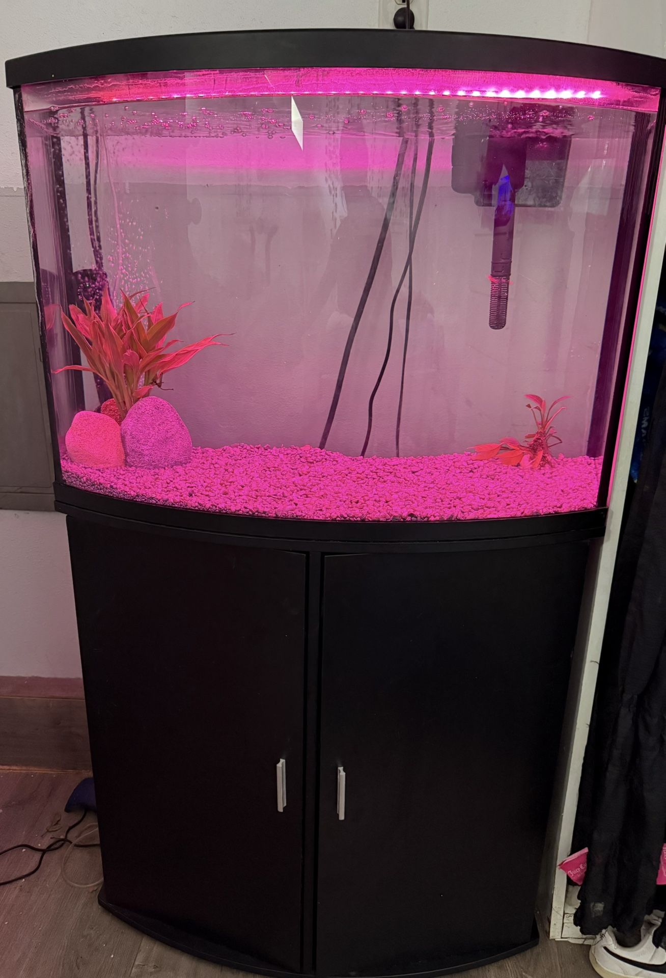 36 Gallon Tank And Stand