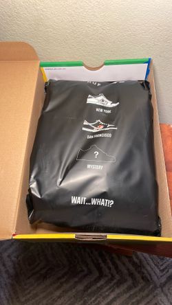 Nike sb huf blind bag Ny or SF 10.5mens
