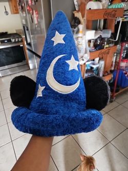 DISNEY PARK HAT