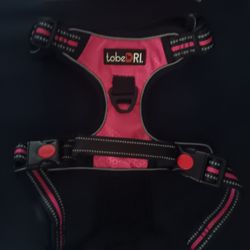 tobeDRI Dog Harness and Leash 
