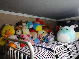 Large Lot of Stuffed Animals and Squishmallows