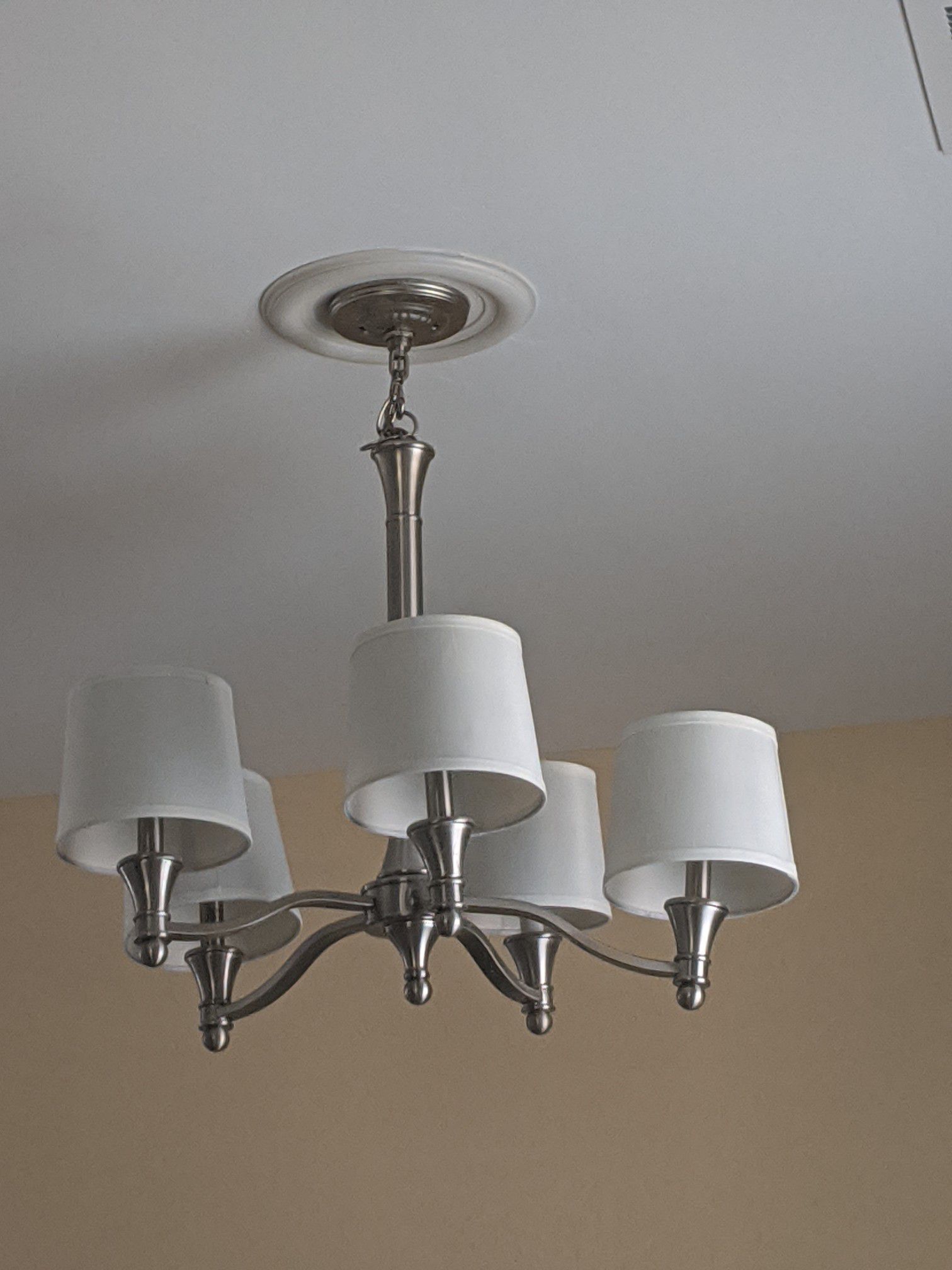 Light fixture/ chandelier