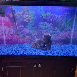 Aquarium