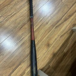 Victus Pro TATIS23 Maple Wood Baseball Bat