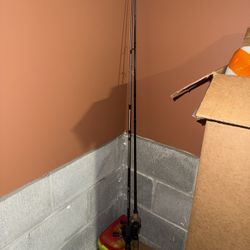 2 fishing rods