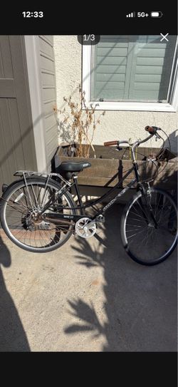 Large women’s Bike