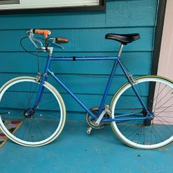 Bike Frame (Wheels Not Included)