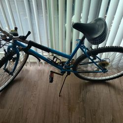 15 Speed Mountain Bike 