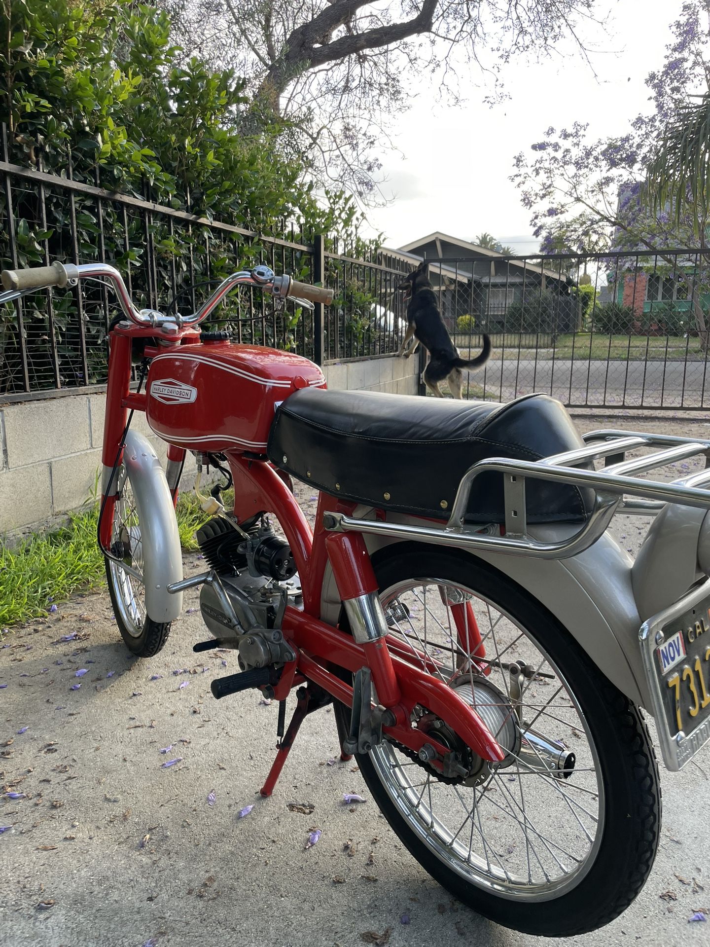 1966 Harley Davidson Aeramachi