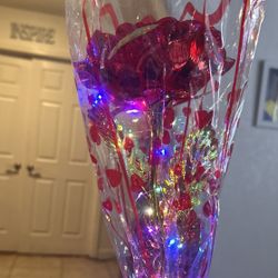 Mothers Day Roses 