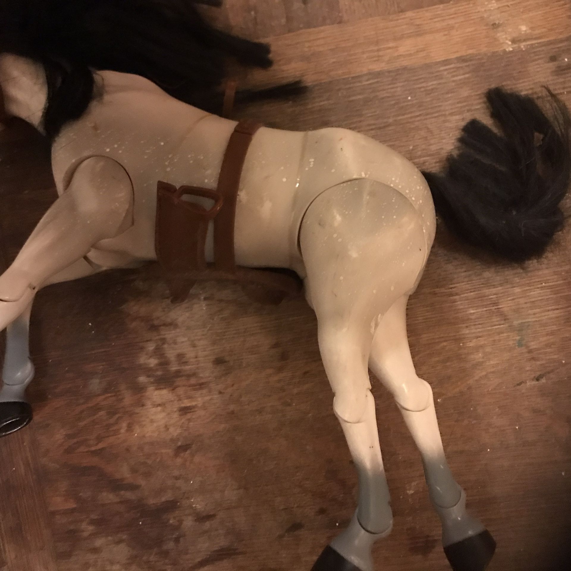 Beautiful Horse