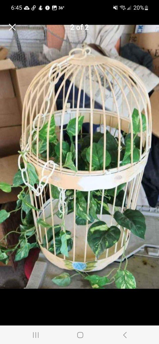 Large Decorative Bird Cage