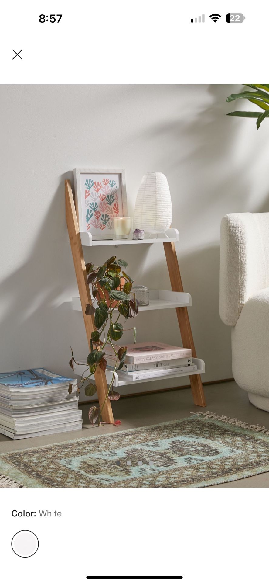 3 Tier Leaning Ladder Shelf