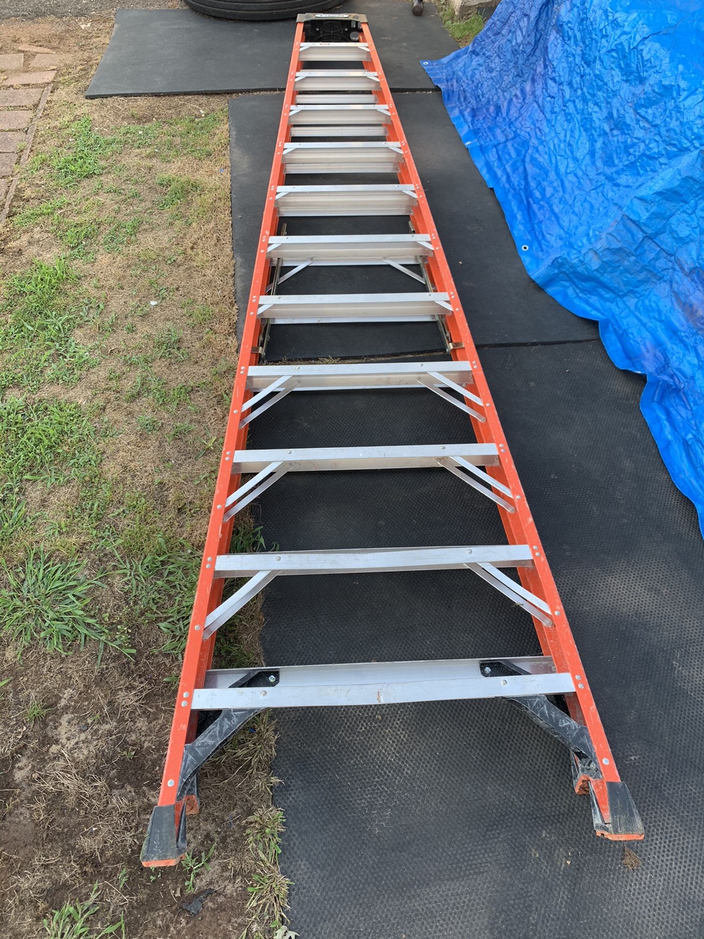 Werner 12ft Ladder