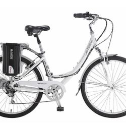 EZip E-bike Used Working Condition 