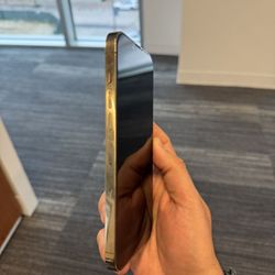 iPhone 13 Pro Max 256Gb Gold Unlocked