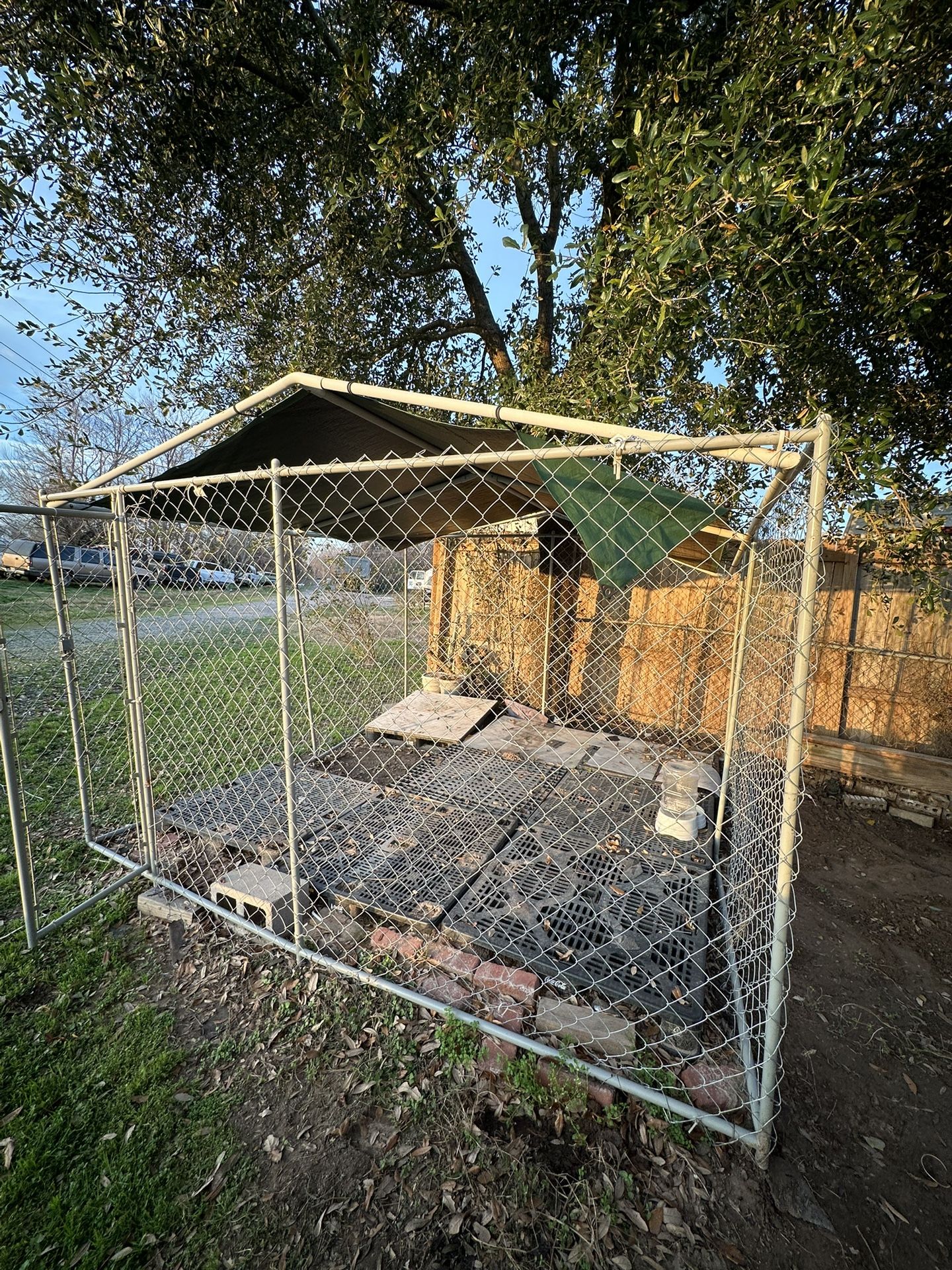 Dog Kennel/cage Size 10x10