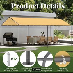 10’ x 20’  Canopy