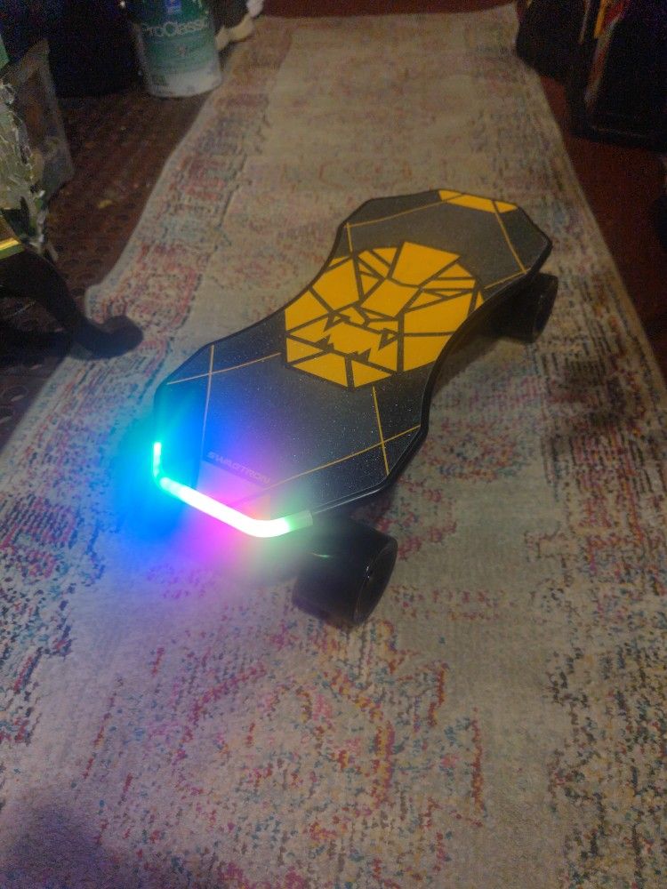 Electric Skatebord