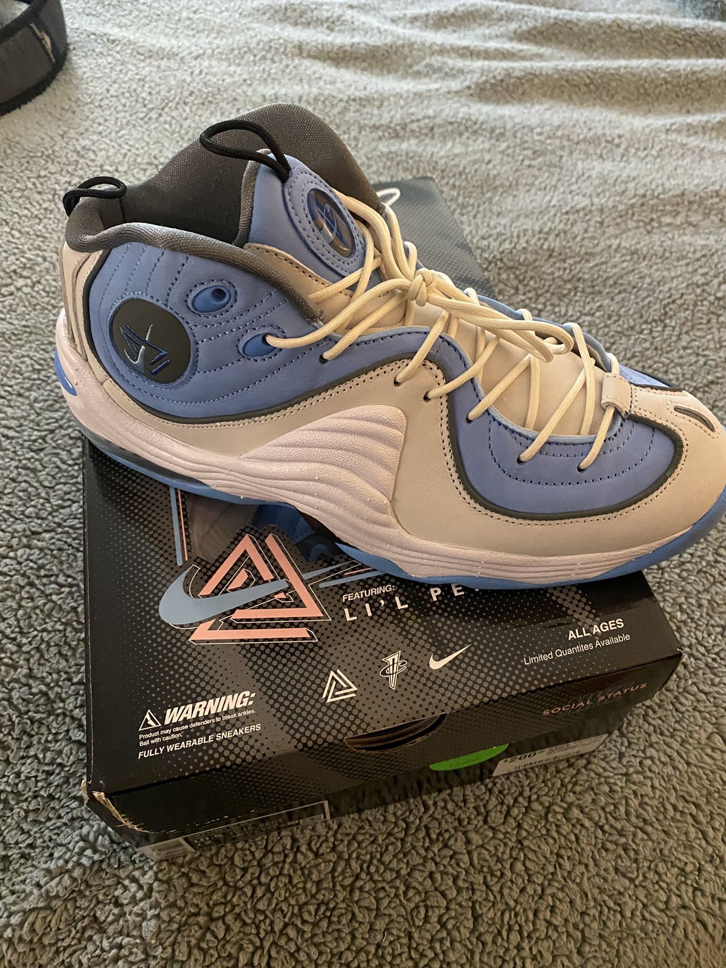 Nike Air Penny 2 “Social Status”