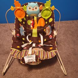 Baby Bouncer 