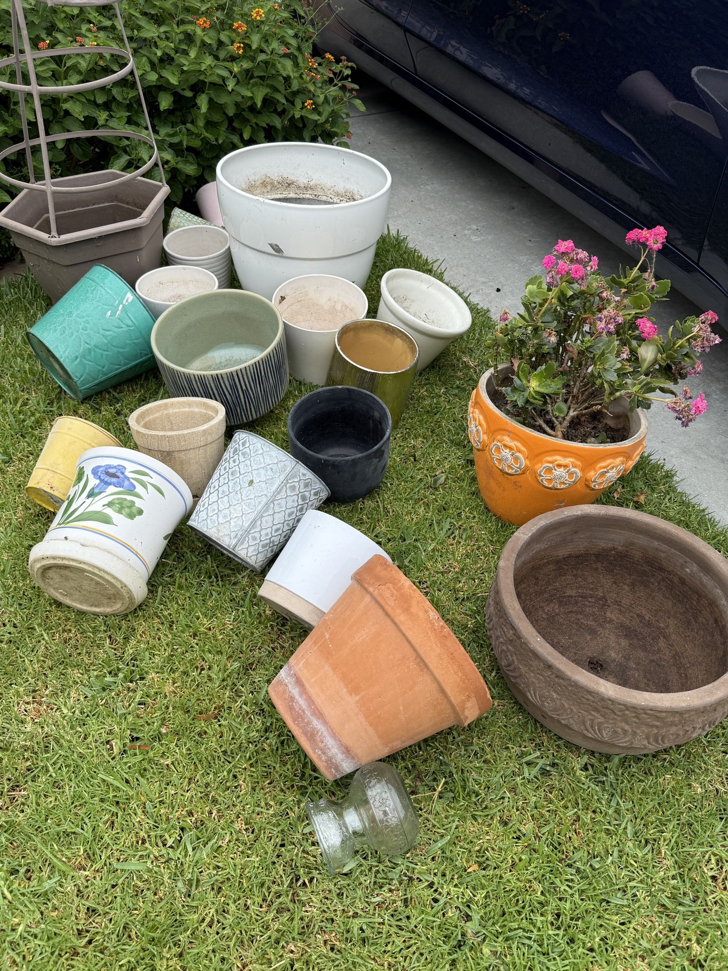Assortment Of Plant Pots