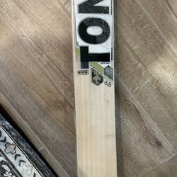 SS TON Cricket bat