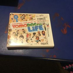 Nintendo 3DS game Tomodachi Life