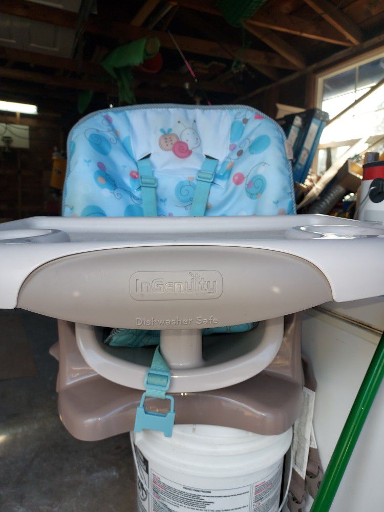 Ingenuity Baby-to-toddler Chair