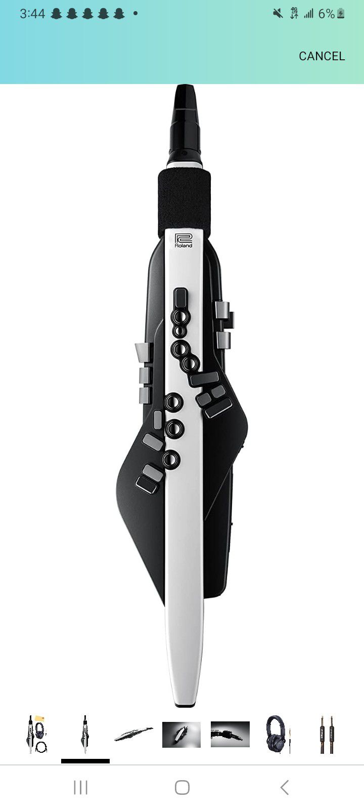 Roland Areophone Model 2-20
