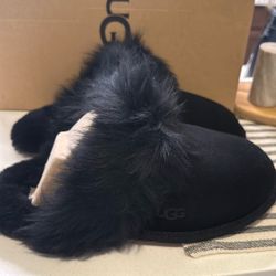 Brand New UGG Slippers 