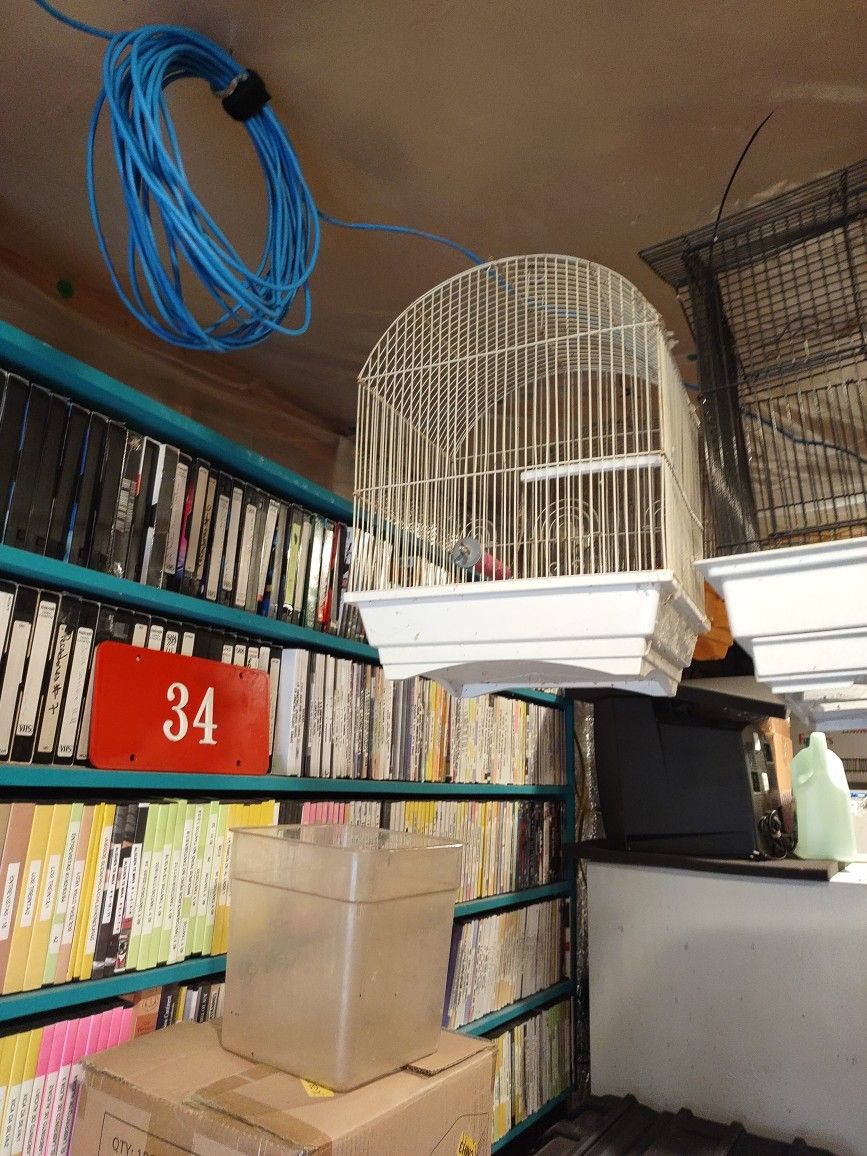 MD SIZE CAGE. SM BIRD
