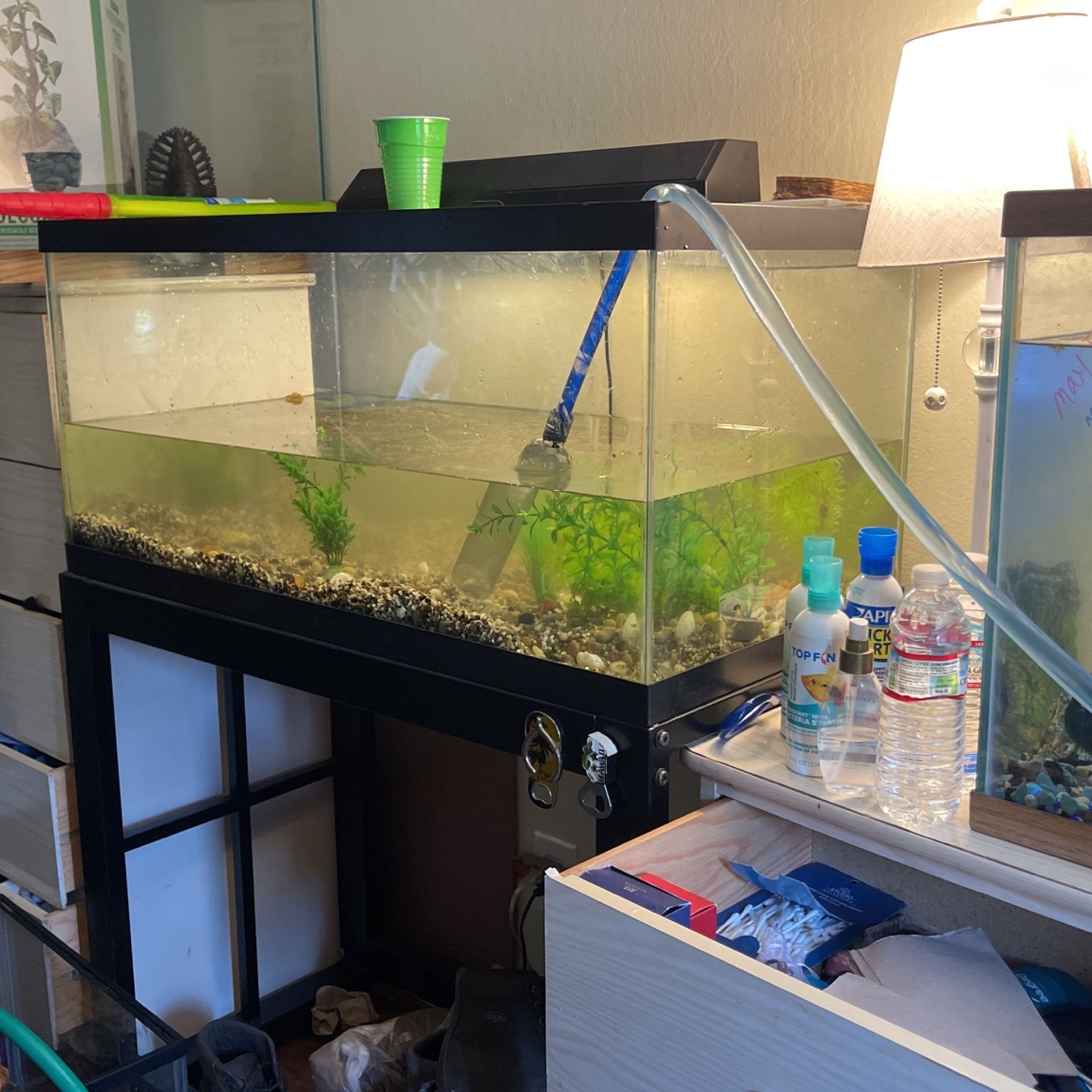 Fish Tank Turtle Tank 