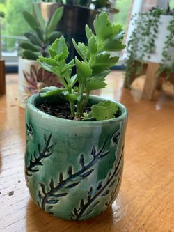 Small Green ceramic pot with flower