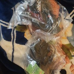 Hand Puppets Dinosaurs 