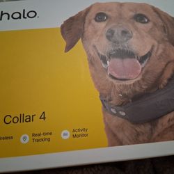 Dog GPS Collar 