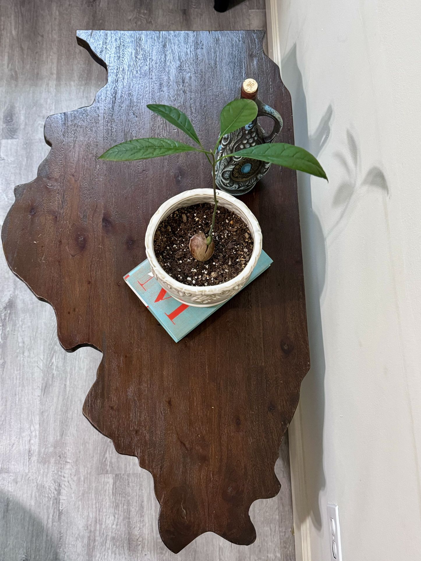 Sturdy Solid Wood Illinois Coffee Table