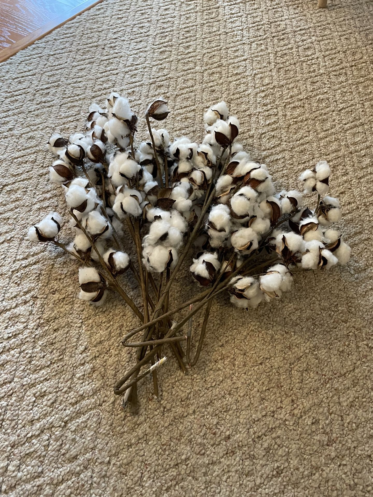 Cotton Stem Bundle, Home Decor